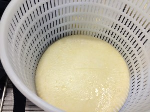 Trial cheeses - the prototype (sort of)