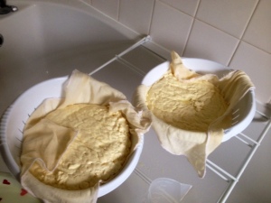 Draining cheeses that were made in the kitchen and are left to drain in the bathroom.