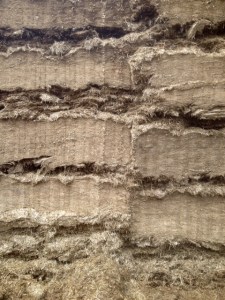 Silage that the cows eat. The neatness, order and cleanliness of how it is stacked impressed me.